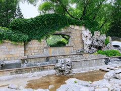 -团结湖公园