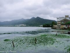 -东钱湖旅游度假区