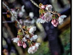 -静安雕塑公园