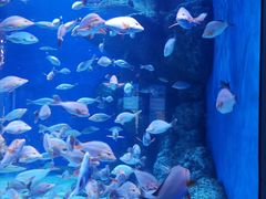 -成都浩海立方海洋公园