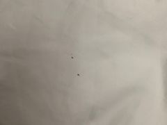 -上海柏阳君亭酒店(复旦大学店)