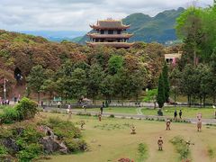 -贵州百里杜鹃风景名胜区