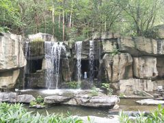 -顺峰山公园