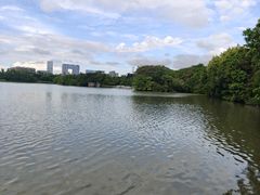 -海珠湖公园