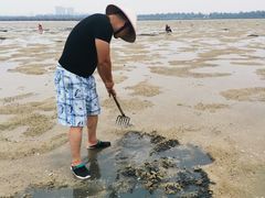 -北海银滩一号国际会议中心酒店