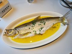 古法清蒸白鱼-二泉园老菜馆·百年无锡菜