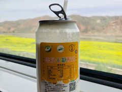 -德禄酸奶(莫家街店)