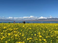 -青海湖国家重点风景名胜区
