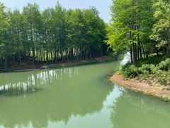 -贡湖湾湿地公园