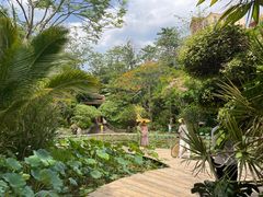 -曼听御花园