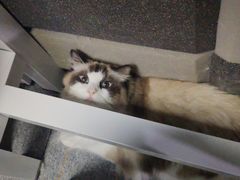 -零纪元VR体验馆·桌游(黄浦店)