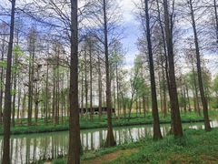 -西溪国家湿地公园