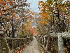 -秦岭终南山世界地质公园翠华山景区