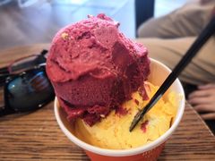 冰淇淋-Patagonia Chocolates(皇后镇店)