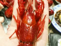 -赤甲皇(仙霞路店)