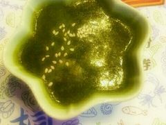 -海桐