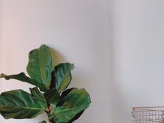 -常识咖啡common sense(春熙路店)
