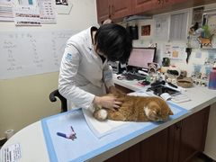 -美联众合动物医院·24h转诊中心