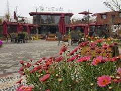 -森居forest休闲咖啡聚集地