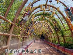-厦门方特水上乐园