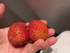 -曲水兰亭(北京四惠店)