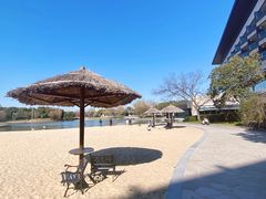 -上海佘山世茂艾美酒店