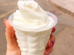 原味冰淇淋-白色日记·手作酸奶(麦凯乐店)