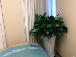 点击看大图 -深圳美莱医疗美容医院