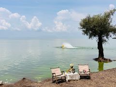 -捞渔河湿地公园