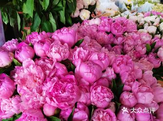 成都超好逛的花市|芍药花5元一束