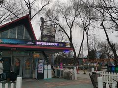 -枫花园汽车电影院(朝阳公园店)