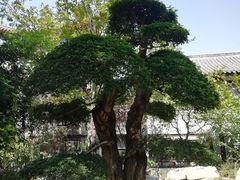 -济南国际园博园