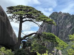 -黄山风景区