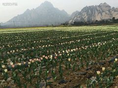 -嵖岈山风景区