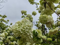 -大龙山(地铁站)