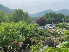 -慢丽江·云南野生菌土鸡锅(西山店)