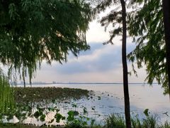 -阳澄湖费尔蒙酒店