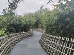-福道