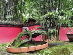 -成都武侯祠博物馆