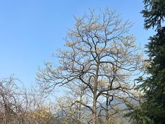 -北仑森林植物园