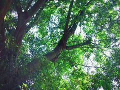 -飞霞风景名胜区