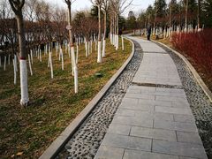 -西安汉城湖景区