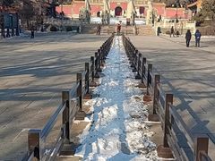 -北陵公园