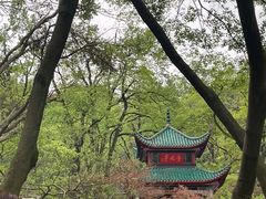 -岳麓山风景名胜区