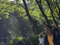 -秦岭终南山世界地质公园翠华山景区