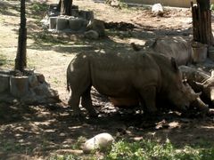-西安秦岭野生动物园