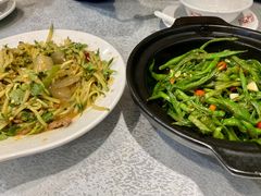东北大拉皮-京城百饺园•东北菜馆(红谷滩店)