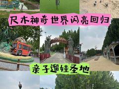 -尺木神奇世界