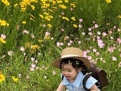 -菊园百果园
