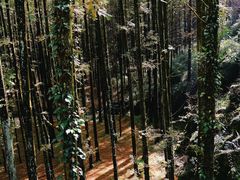 -山王坪喀斯特国家生态公园